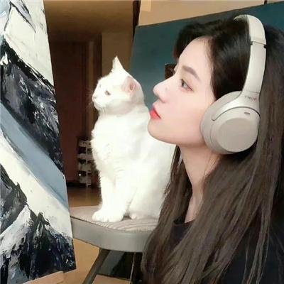 热门剧集